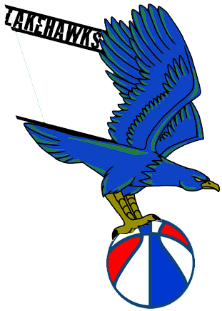 West Michigan Lake Hawks 2013-2015 Primary Logo iron on transfers for T-shirts
